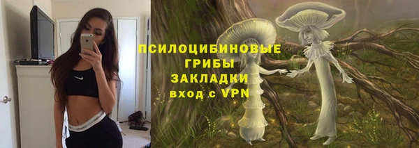 apvp Сосновоборск