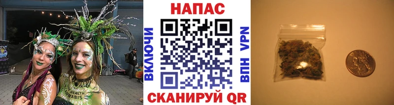 Каннабис ГИДРОПОН  МЕГА маркетплейс  Тотьма  где купить наркотик 